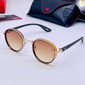 RBN18203 Gold and Black Frame Sunglasses